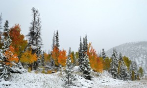 10-4-13 Snowy Range Wyoming
